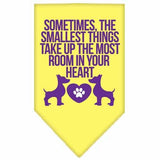 Smallest Things Screen Print Bandana