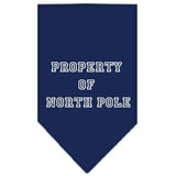 Property Of North Pole Screen Print Bandana