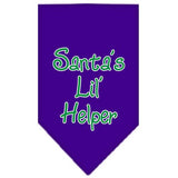 Santa Lil Helper Screen Print Bandana