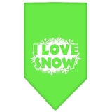 I Love Snow Screen Print Bandana