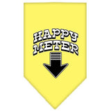 Happy Meter Screen Print Bandana