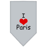 I Heart Paris Screen Print Bandana