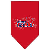 Little Firecracker Screen Print Bandana