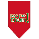 Pog Mo Thoin Screen Print Bandana