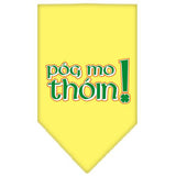 Pog Mo Thoin Screen Print Bandana