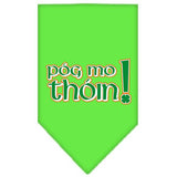 Pog Mo Thoin Screen Print Bandana