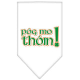 Pog Mo Thoin Screen Print Bandana