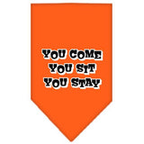 You Come, You Sit, You Stay Screen Print Bandana