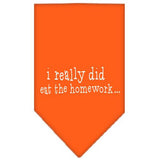 I Really Did Eat The Homework Screen Print Bandana