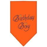 Birthday Boy Rhinestone Bandana