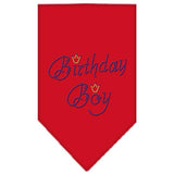 Birthday Boy Rhinestone Bandana