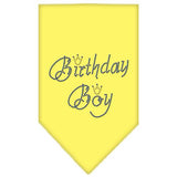 Birthday Boy Rhinestone Bandana