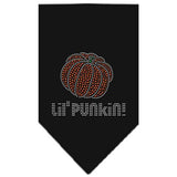 Lil Punkin Rhinestone Bandana