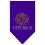 Lil Punkin Rhinestone Bandana