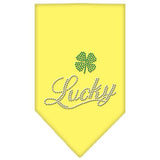 Lucky Script Rhinestone Bandana