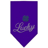 Lucky Script Rhinestone Bandana