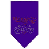 Naughty But In A Nice Way Rhinestone Bandana