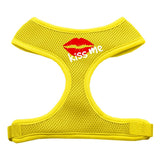 Kiss Me Soft Mesh Harnesses