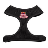 Pink Birthday Cake Chipper  Harness