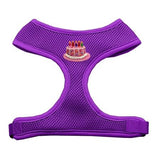 Pink Birthday Cake Chipper  Harness